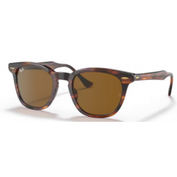 RAY-BAN SOL 2298 HAWKEYE  95433