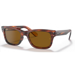 Ray-Ban SOL 2283 954/33