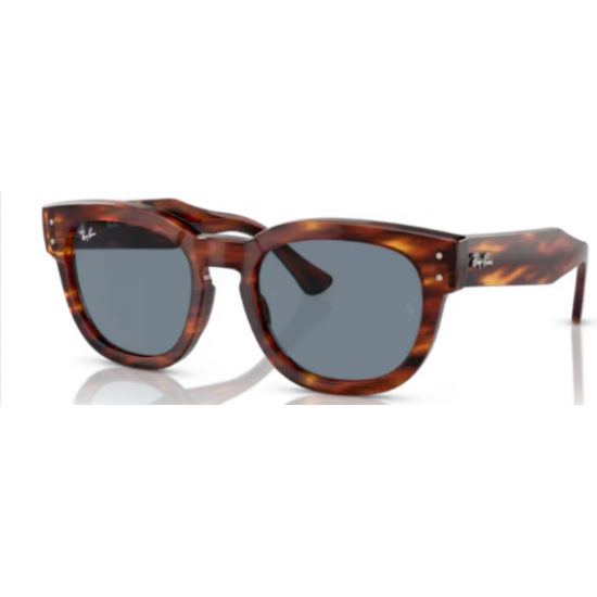 RAY-BAN 0298S  954/62