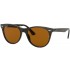 Ray-Ban 2185 902/57