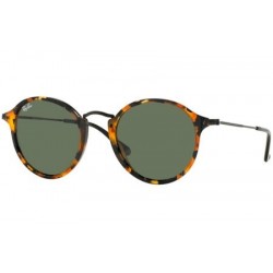 Ray-Ban 2447 1157