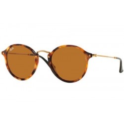 Ray-Ban 2447 1160