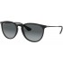 Ray-Ban Erika 4171 622/T3