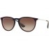 Ray-Ban Erika 4171 631513