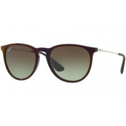 Ray-Ban Erika 4171 6316E8