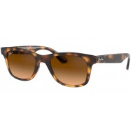 Ray-Ban 4640 710/M2